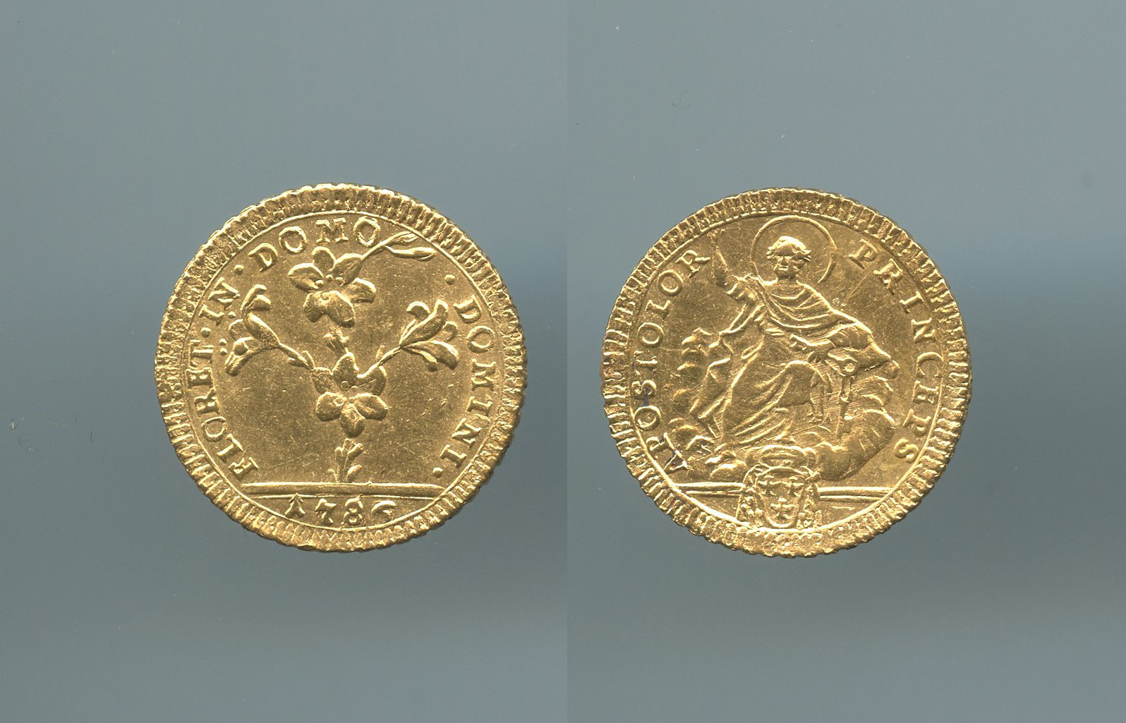 STATO PONTIFICIO, Pio VI (1775-1799) Doppia Romana 1786