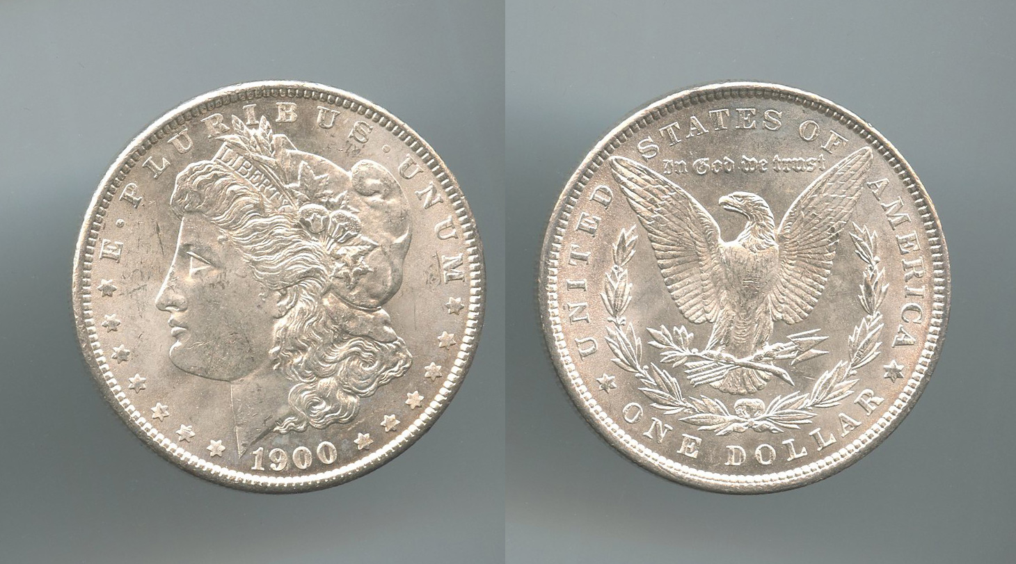 USA, Morgan Dollar 1900