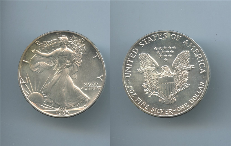 USA, Silver Eagle Dollar 1989