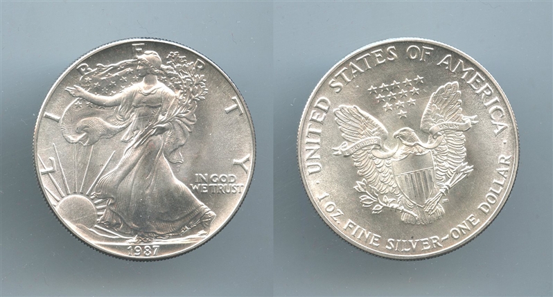 USA, Dollar 1987 "American Eagle"