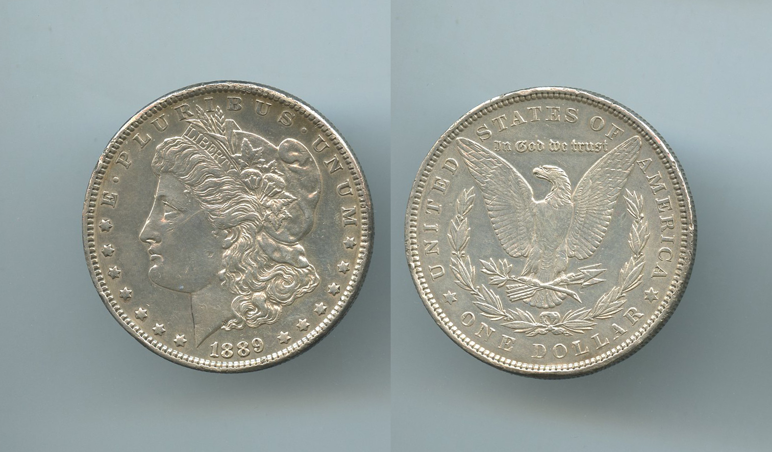 USA, Morgan Dollar 1889