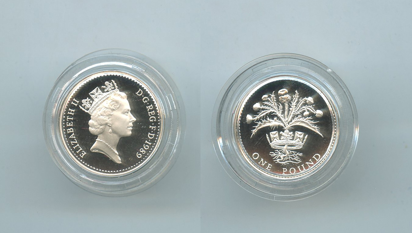 REGNO UNITO, Elizabeth II, 1 Pound 1989
