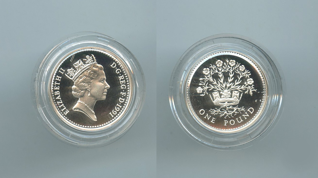 REGNO UNITO, Elizabeth II, 1 Pound 1991