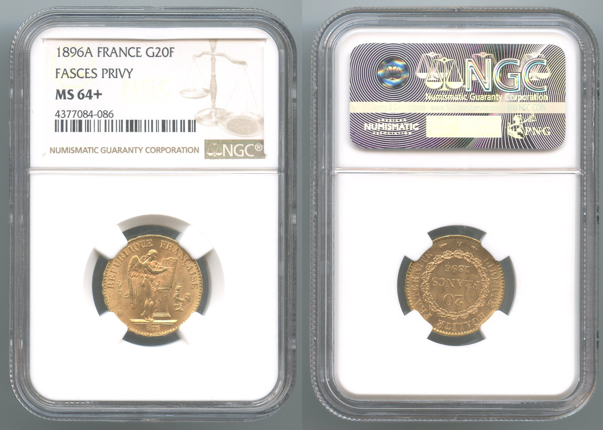 FRANCIA, Terza Repubblica (1870-1940) 20 Francs 1896 A Fascio FRANCIA, Terza Repubblica (1870-1940) 20 Francs 1896 A Fascio