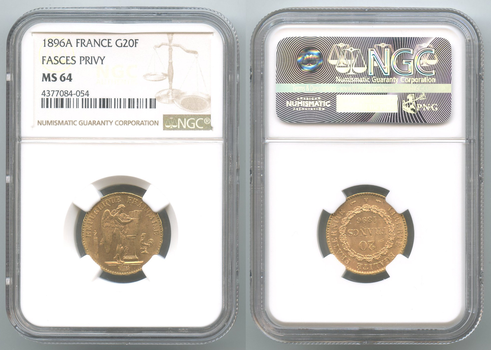 FRANCIA, Terza Repubblica (1870-1940) 20 Francs 1896 A Fascio FRANCIA, Terza Repubblica (1870-1940) 20 Francs 1896 A Fascio