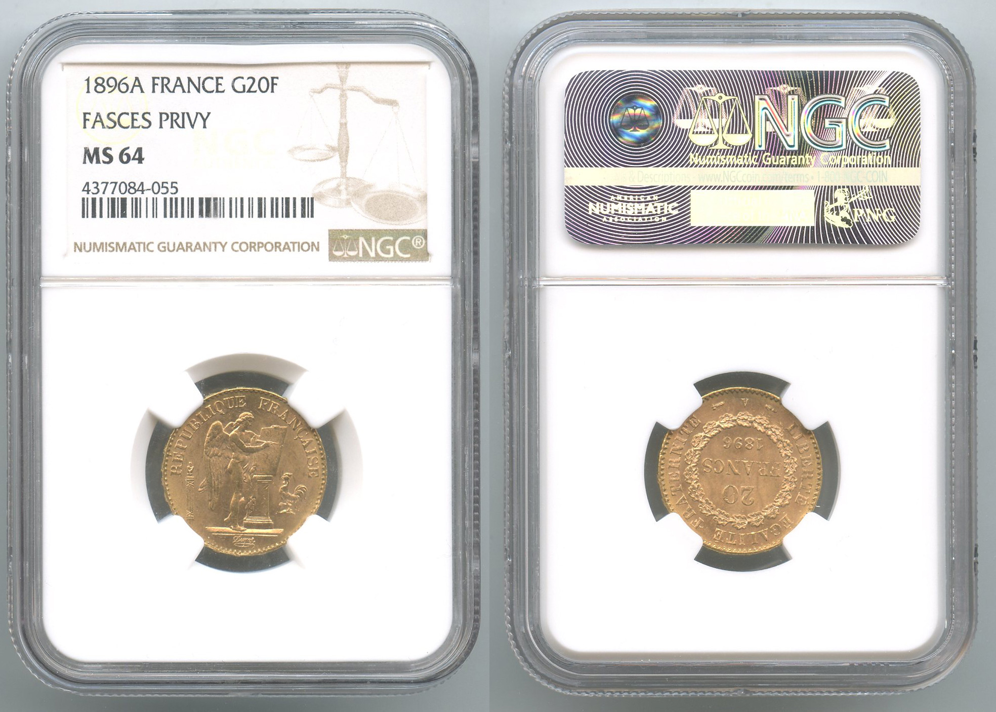 FRANCIA, Terza Repubblica (1870-1940) 20 Francs 1896 A Fascio FRANCIA, Terza Repubblica (1870-1940) 20 Francs 1896 A Fascio