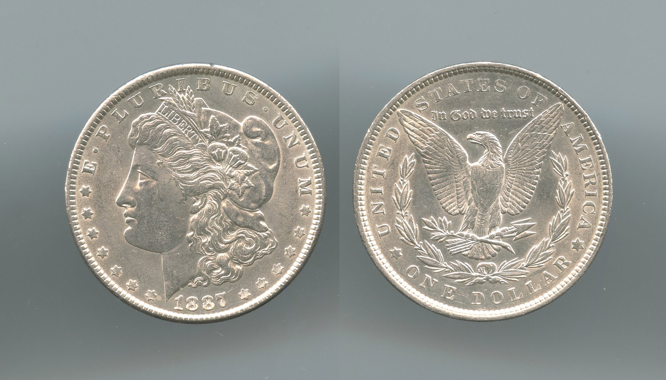 USA, Morgan Dollar 1887