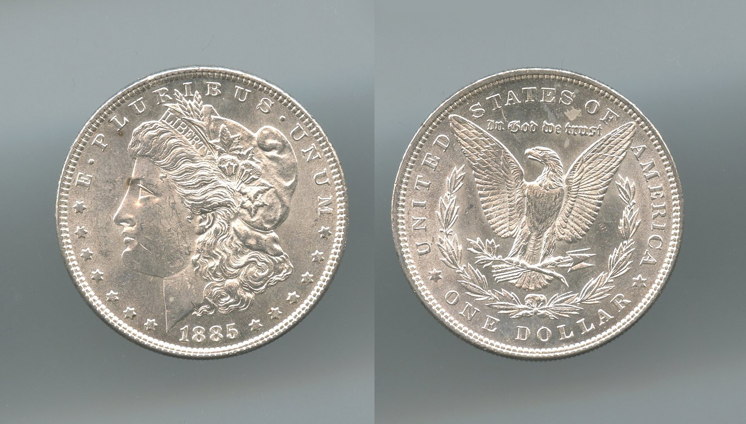 USA, Morgan Dollar 1885