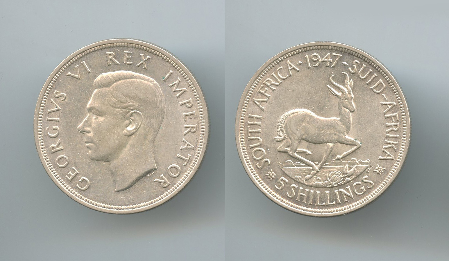 SUDAFRICA, George VI (1937-1952) 5 Shillings 1947