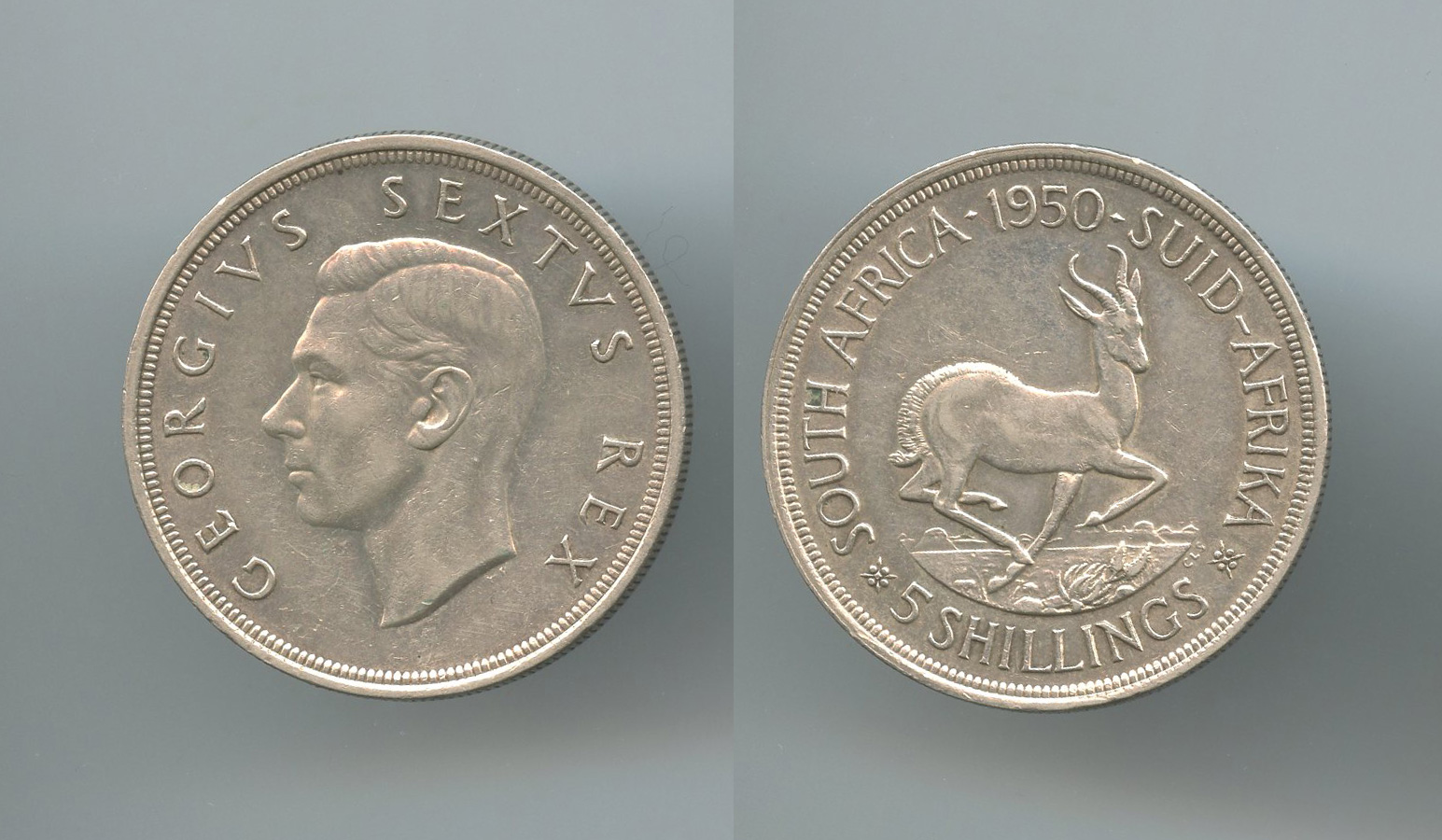 SUDAFRICA, George VI (1937-1952) 5 Shillings 1950