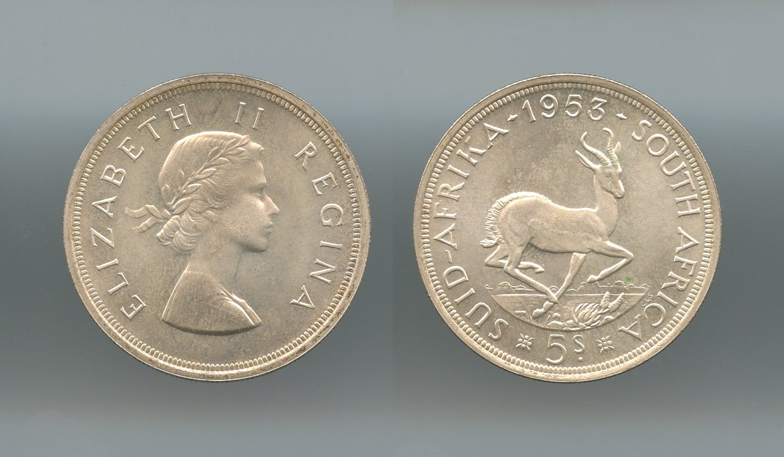 SUDAFRICA, Elizabeth II (1952-2022) 5 Shillings 1953