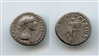 TRAIANO (98-117 d.C.) Denario