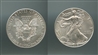 USA, Silver Eagle Dollar 2018 USA, Silver Eagle Dollar 2018