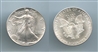 USA, Silver Eagle Dollar 1987 USA, Silver Eagle Dollar 1987