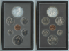 CANADA, Elizabeth II, Proof set 1980, Dollaro "Territorio artico" CANADA, Elizabeth II, Proof set 1980, Dollaro "Territorio artico"